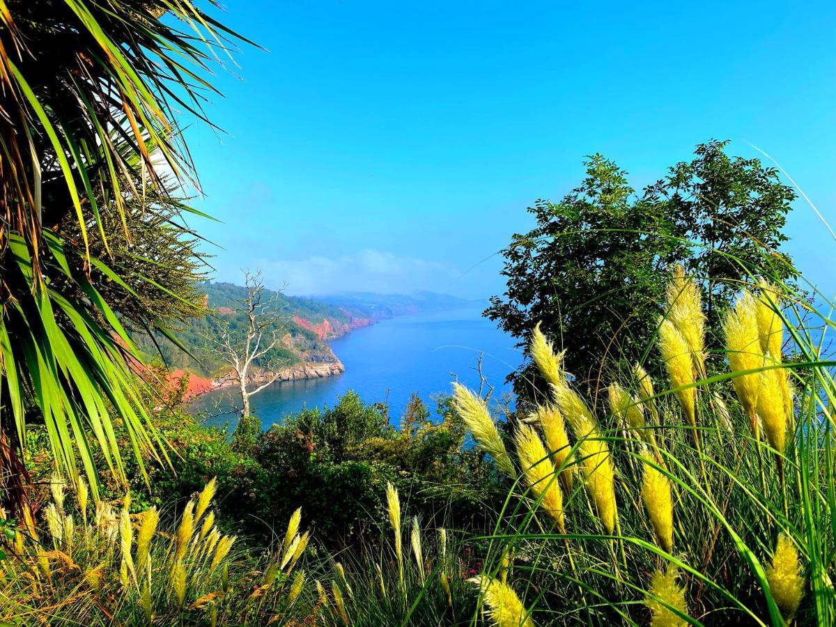 Rooms At Babbacombe 托基 外观 照片